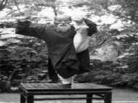 上海木向又贸易有限公司