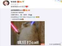 上海木向又贸易有限公司