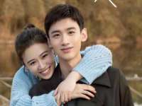 上海木向又贸易有限公司