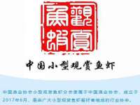 上海木向又贸易有限公司