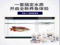 上海木向又贸易有限公司