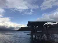 上海木向又贸易有限公司
