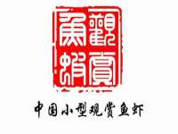 上海木向又贸易有限公司
