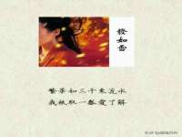 上海木向又贸易有限公司