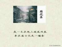 上海木向又贸易有限公司