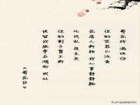 上海木向又贸易有限公司