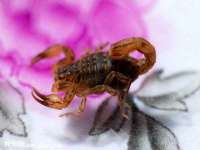 上海木向又贸易有限公司