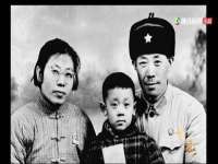 上海木向又贸易有限公司