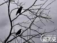 上海木向又贸易有限公司