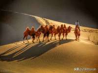 上海木向又贸易有限公司