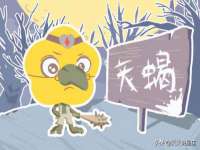 上海木向又贸易有限公司