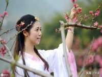 上海木向又贸易有限公司