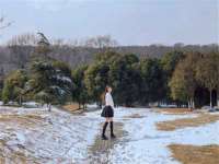 上海木向又贸易有限公司
