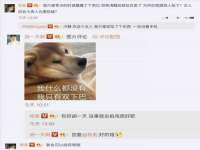 上海木向又贸易有限公司