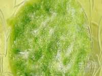 上海木向又贸易有限公司
