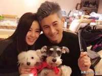 上海木向又贸易有限公司