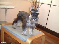 上海木向又贸易有限公司