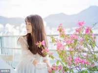 上海木向又贸易有限公司