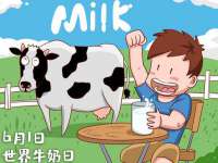 上海木向又贸易有限公司