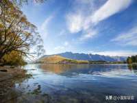 上海木向又贸易有限公司