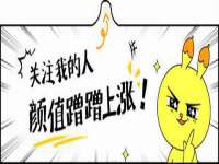 上海木向又贸易有限公司