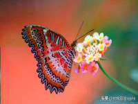 上海木向又贸易有限公司