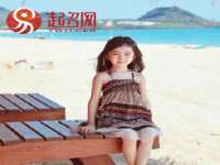 上海木向又贸易有限公司