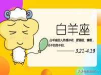 上海木向又贸易有限公司