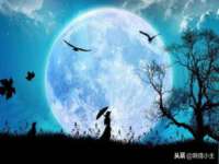 上海木向又贸易有限公司