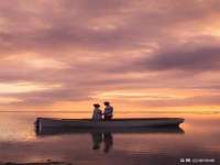 上海木向又贸易有限公司