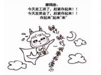 上海木向又贸易有限公司