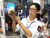 上海木向又贸易有限公司