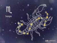 上海木向又贸易有限公司