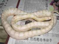 上海木向又贸易有限公司