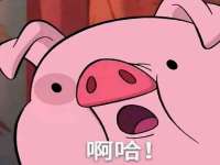 上海木向又贸易有限公司