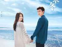 上海木向又贸易有限公司