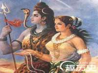 上海木向又贸易有限公司