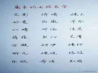 上海木向又贸易有限公司