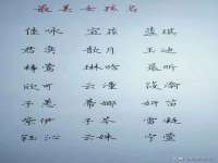 上海木向又贸易有限公司