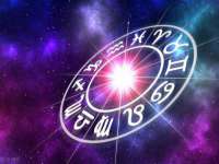 上海木向又贸易有限公司